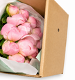 Premium British Pink Peonies