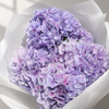 Lavender Hydrangea Stems | Royal Benefit Hydrangea | Fresh UK Delivery