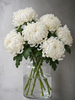 White Chrysanthemums