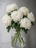 White Chrysanthemums