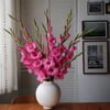 Mid Pink Gladioli – British Grown | 75cm