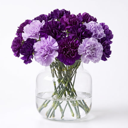 Moon Series Carnations