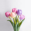 Pastel Tulips Delivery UK Next Day