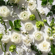 Seasonal White & Green