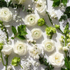 Seasonal White & Green