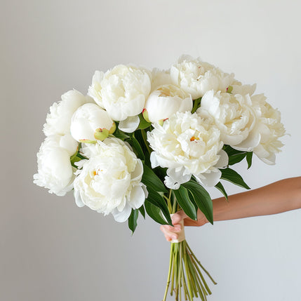 British White Peonies Free Next Day Delivery UK