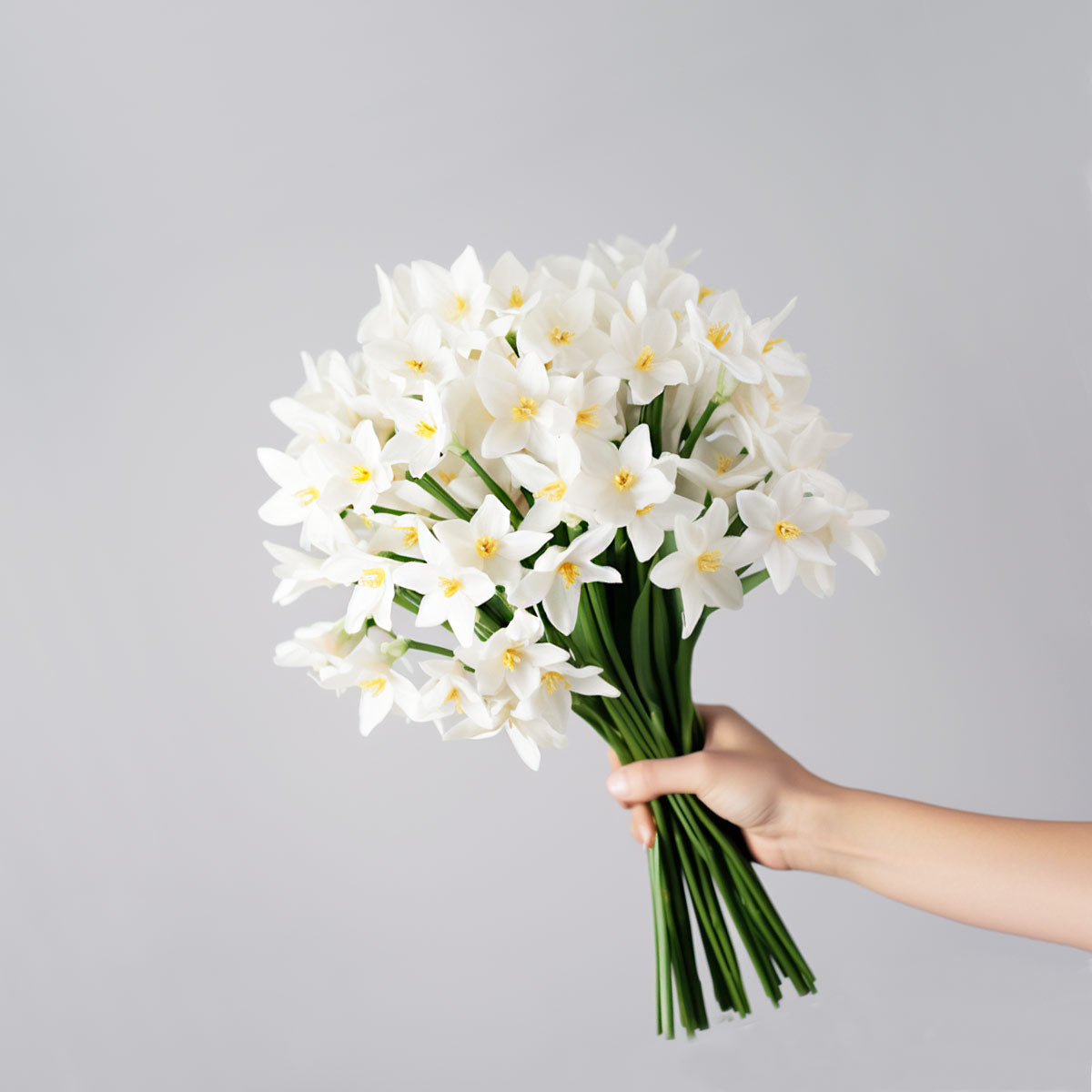 White Narcissus Flower Delivery UK Next Day