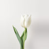 White Tulips Flower Delivery UK