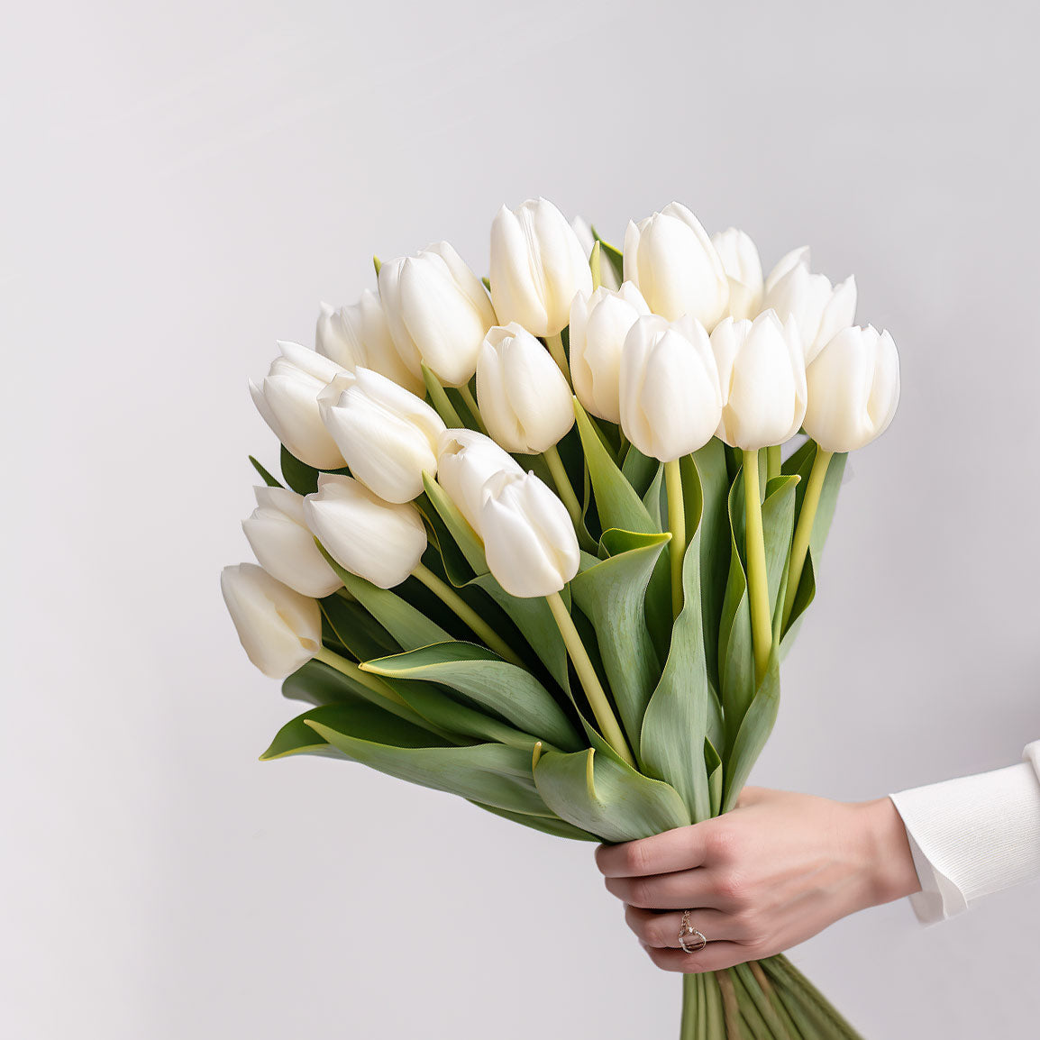 White Tulips Free Next Day Delivery UK British Flowers