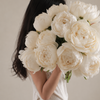 White Peony Stems