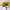 hand holding British sunflowers bouquet – fresh cut sunflowers