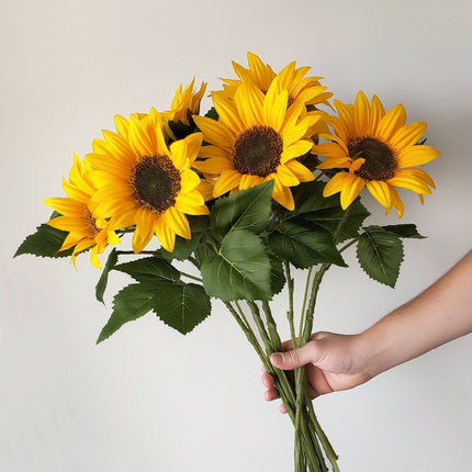 hand holding British sunflowers bouquet – fresh cut sunflowers
