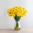 Yellow Daffodils British Flowers Free Next Day Delivery UK