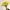 Yellow Iris British Spring Summer Flower Bouquet