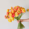 Colourful Ranunculus British Grown Free Next Day Delivery UK Yellow Peach