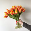 Red Yellow Bicolour Denmark Tulips British Grown Flowers