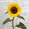 British Sunflowers Bouquet Delivery UK Wide