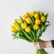 British Yellow Tulips Free Next Day Delivery UK