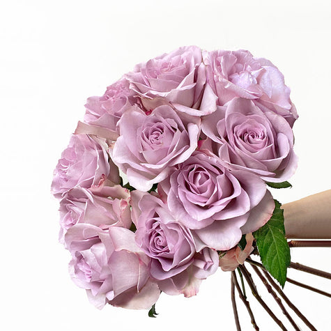 Purple Roses Delivery Next Day UK
