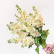 Bouquet Pale Pastel Yellow Stocks UK Delivery