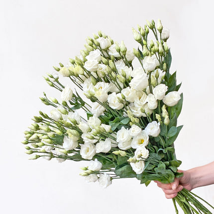 White Lisianthus Flowers in a box - Flower Delivery UK